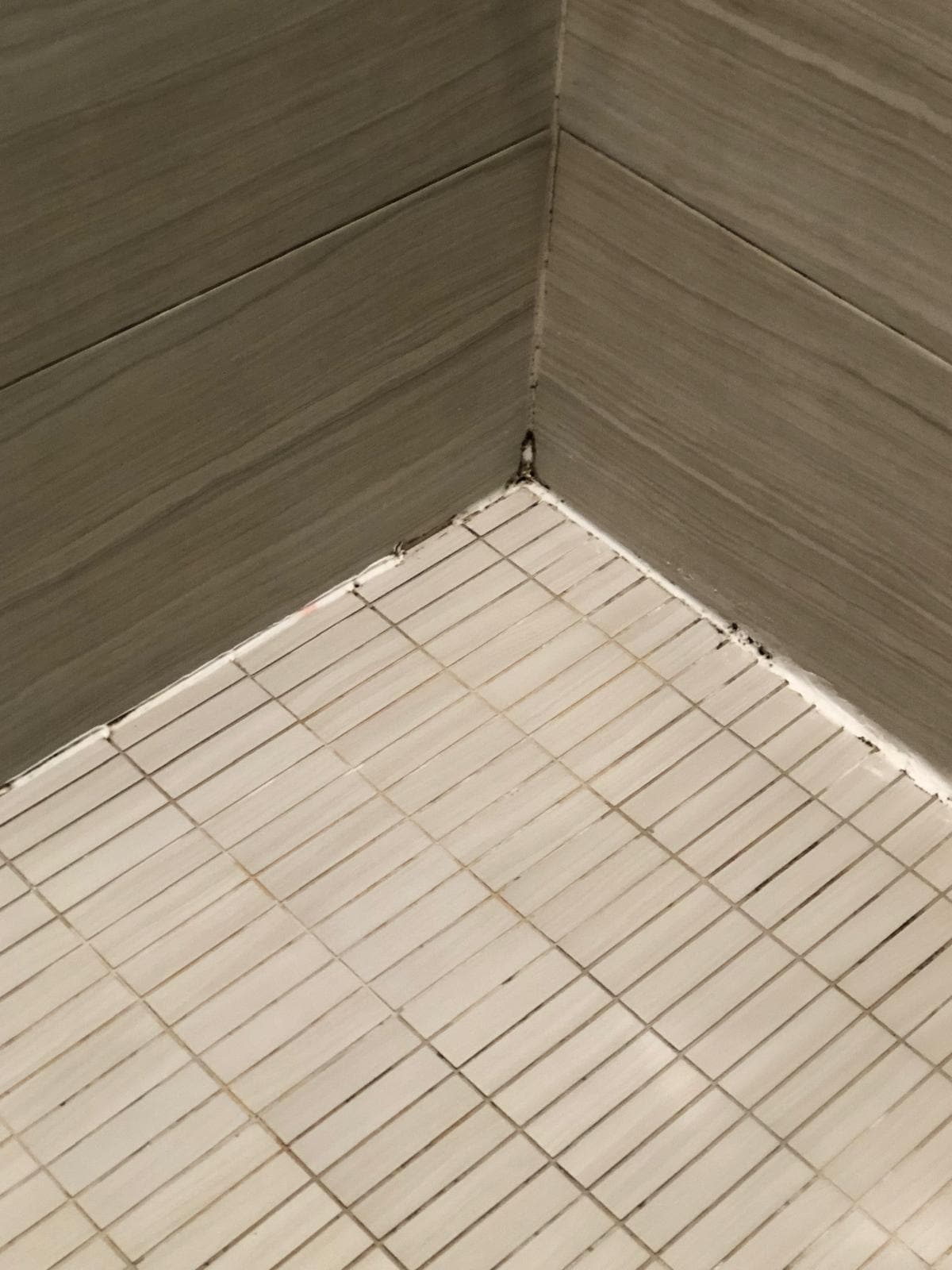 Mould