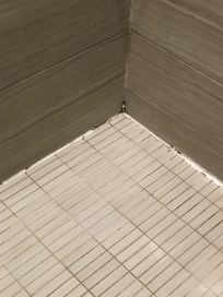 Mould
