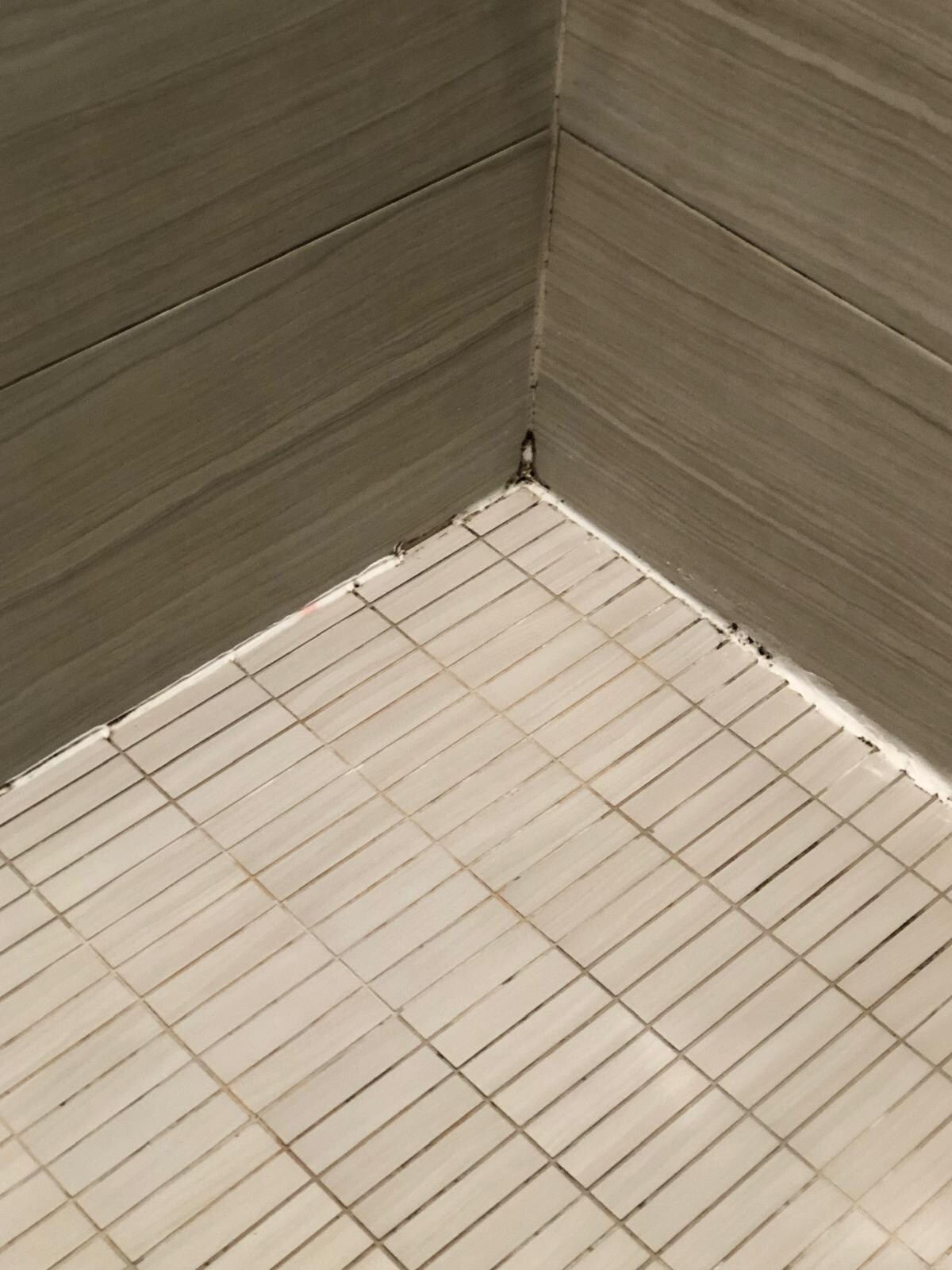 Mould