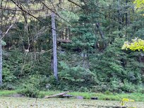 View of a cabin from across the lake