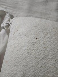 Would you expect guests to sleep on these!