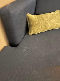 Filthy couch