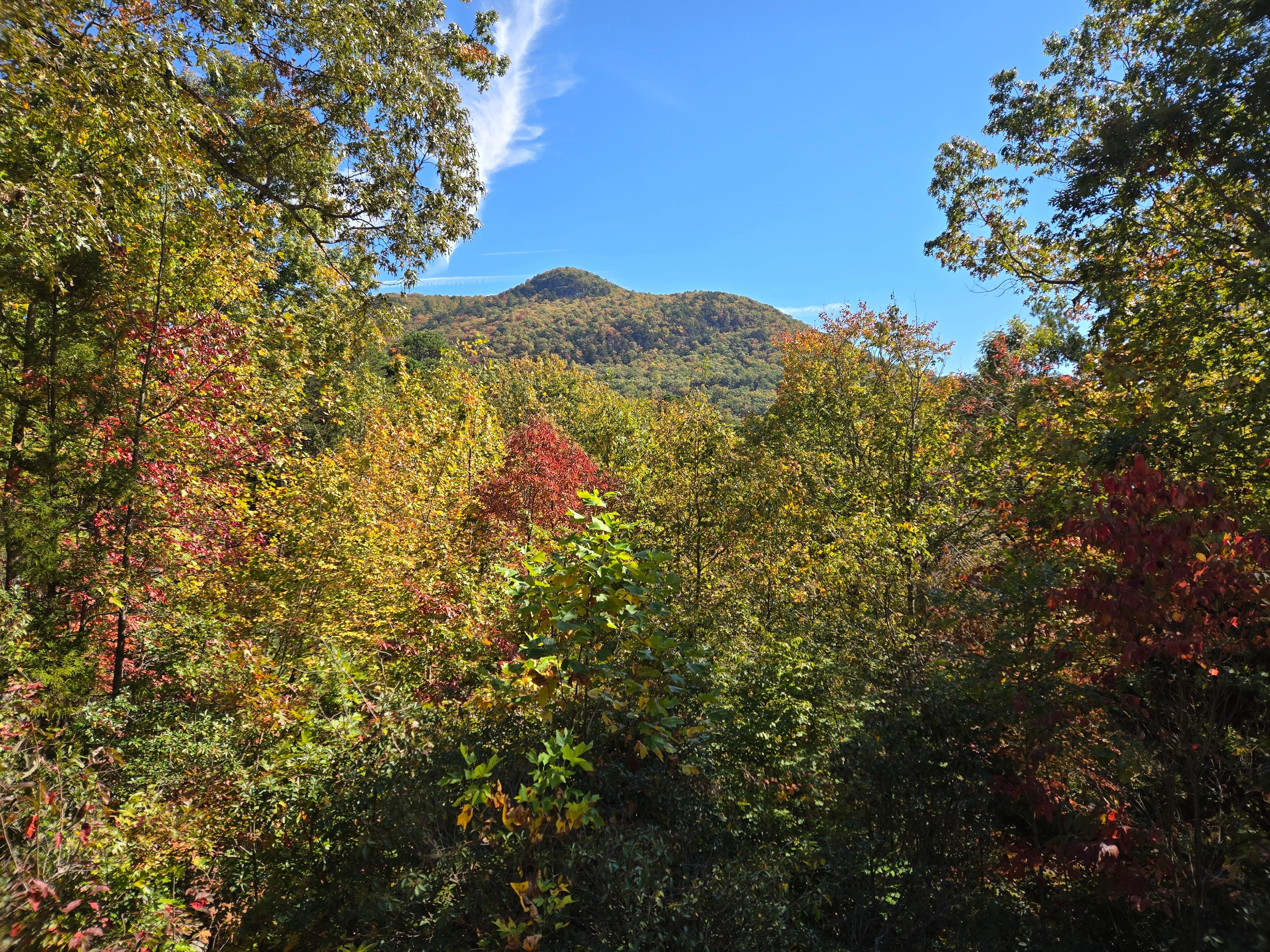 View from the front the big front porch!
