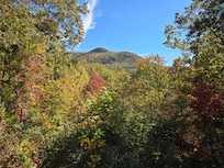 View from the front the big front porch!