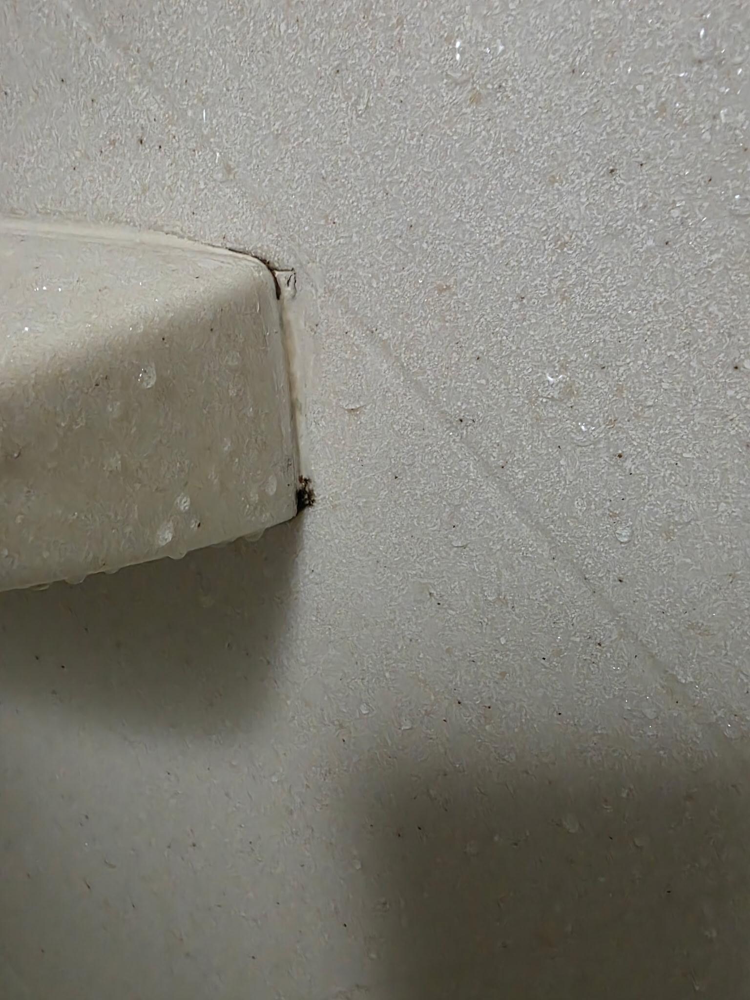 Mold