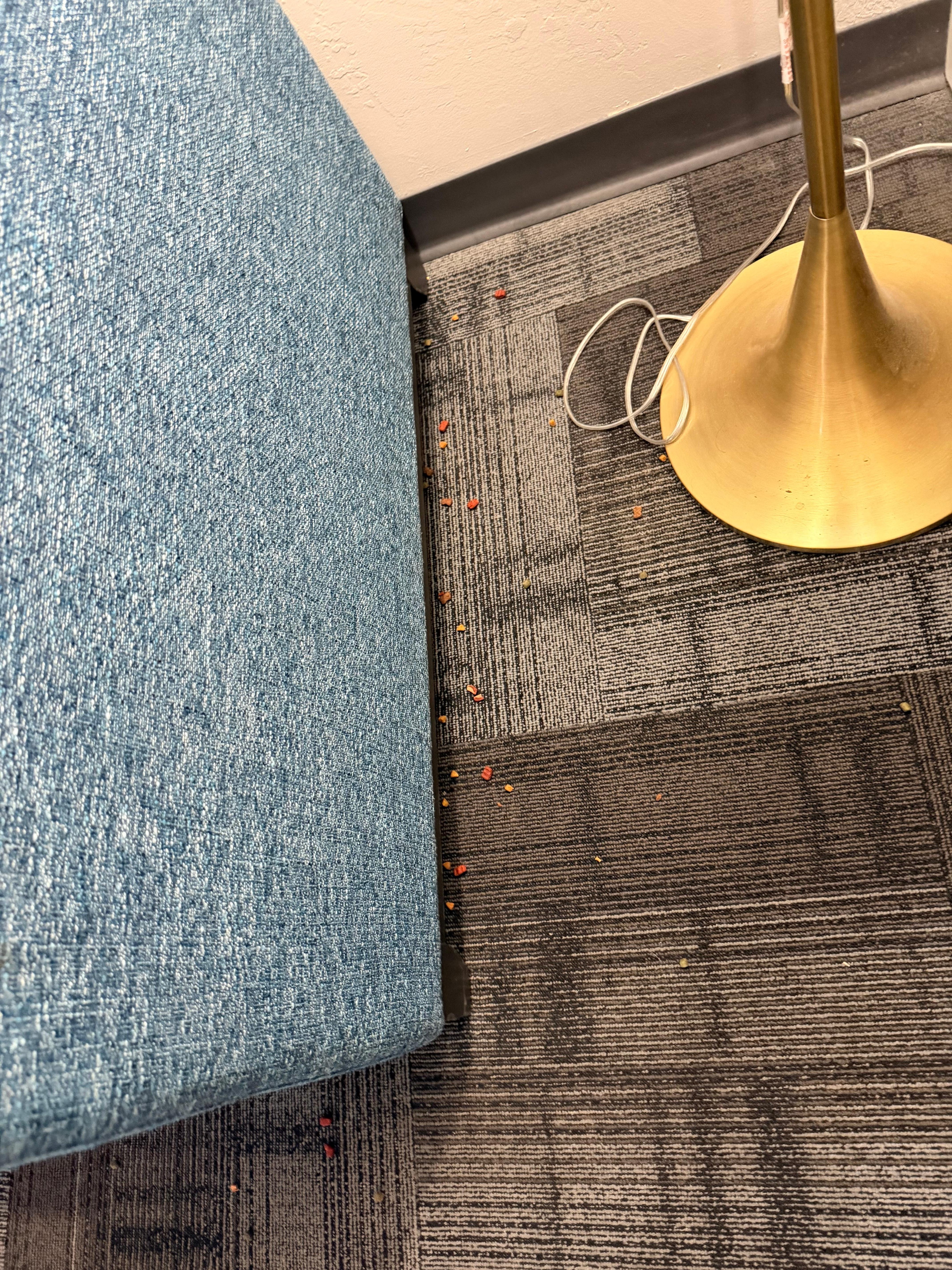 Garbage that came  from the couch 