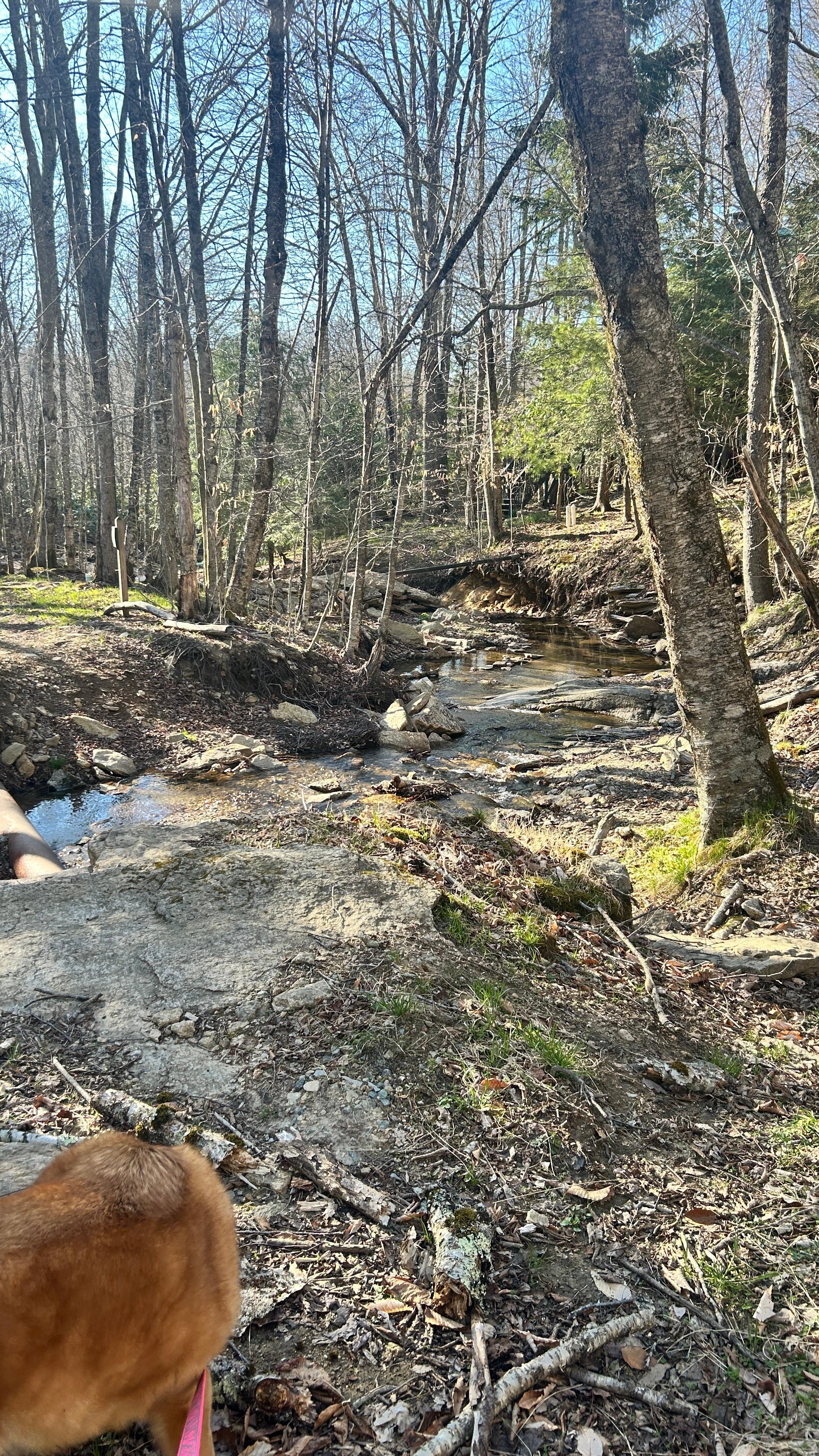 Creek across the street
