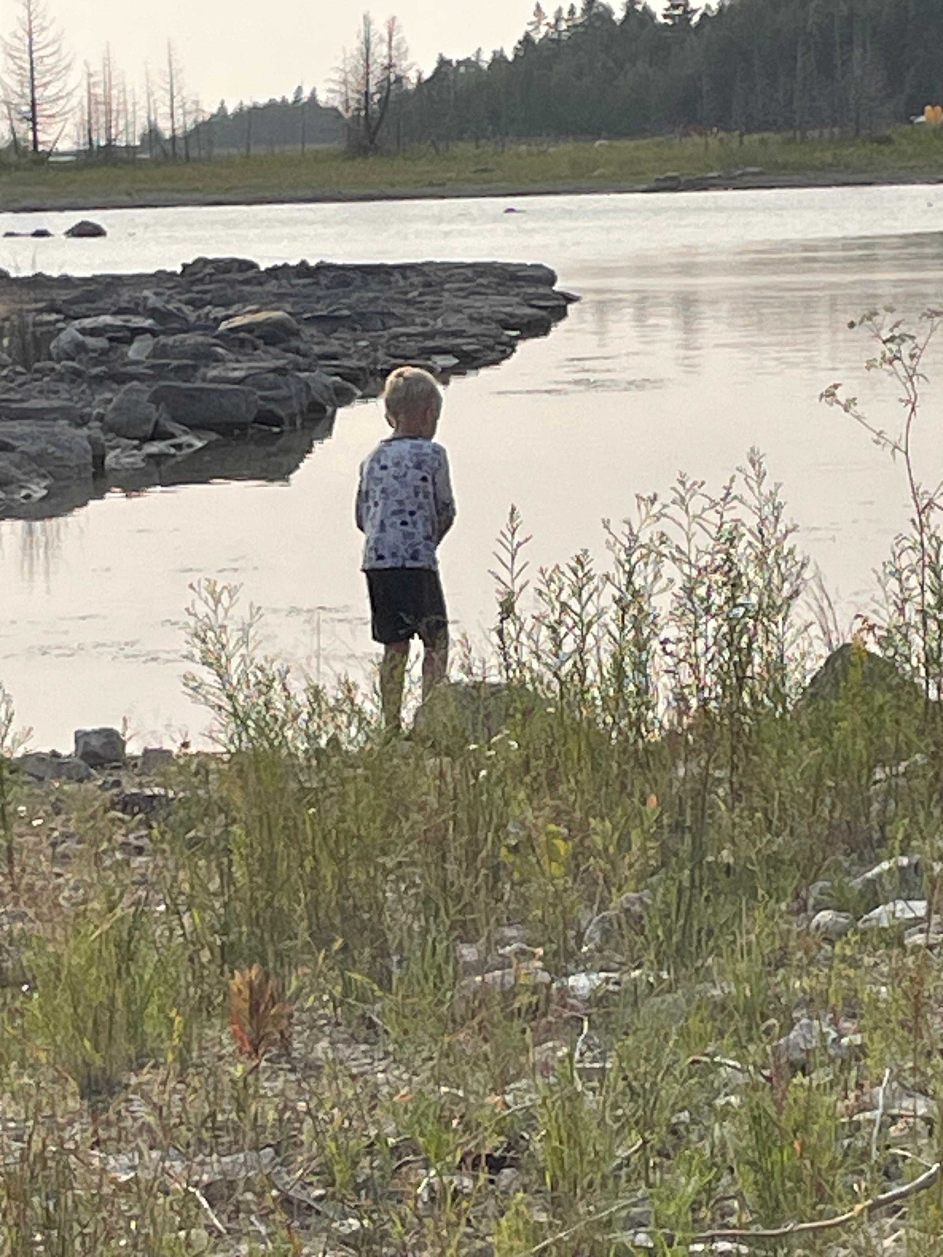 Grandson catching crayfish.