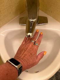 Smallest sink ever could barely brush teeth.
