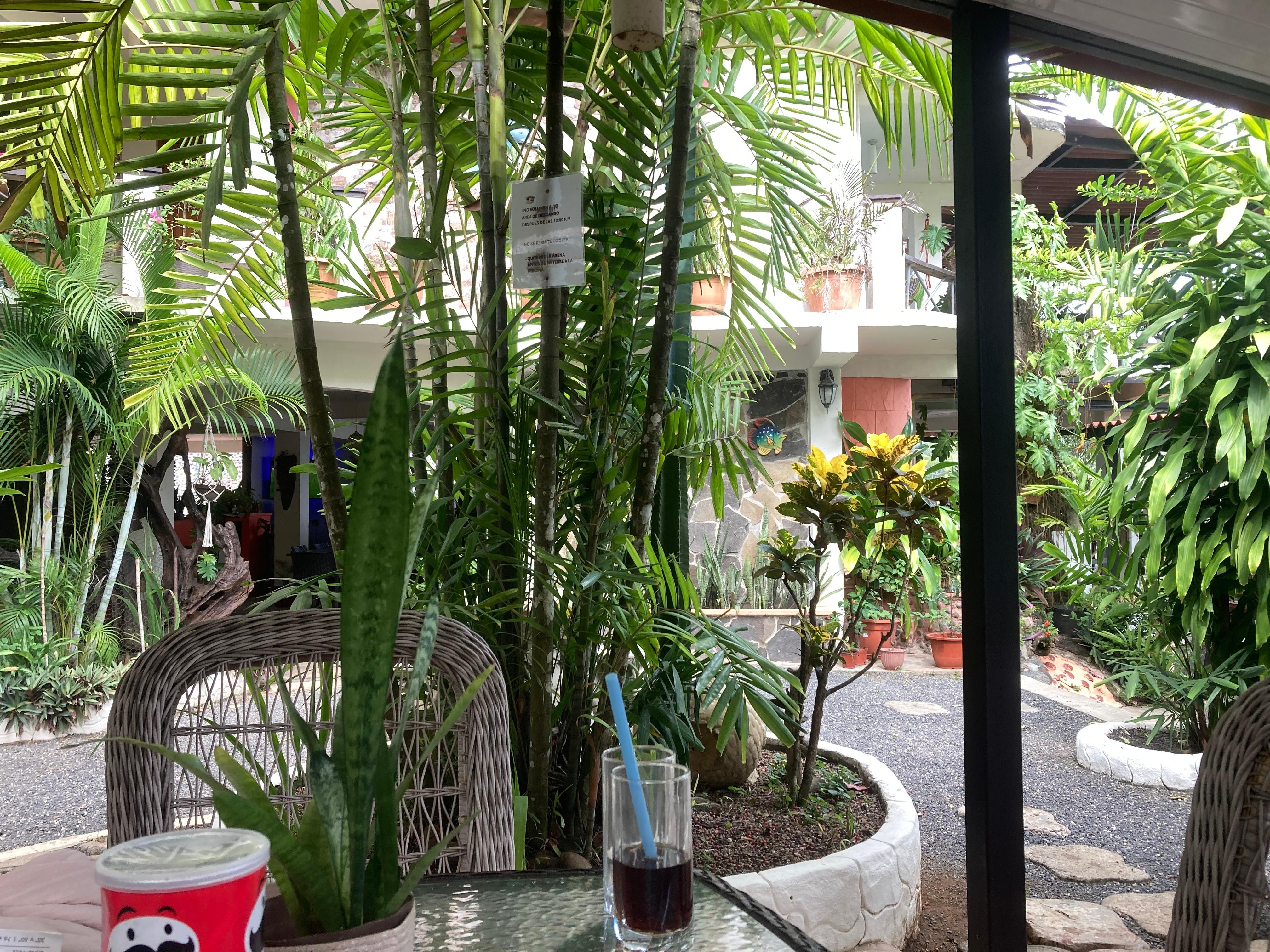 Tropical plants everywhere! Even a tree grows in center of property.