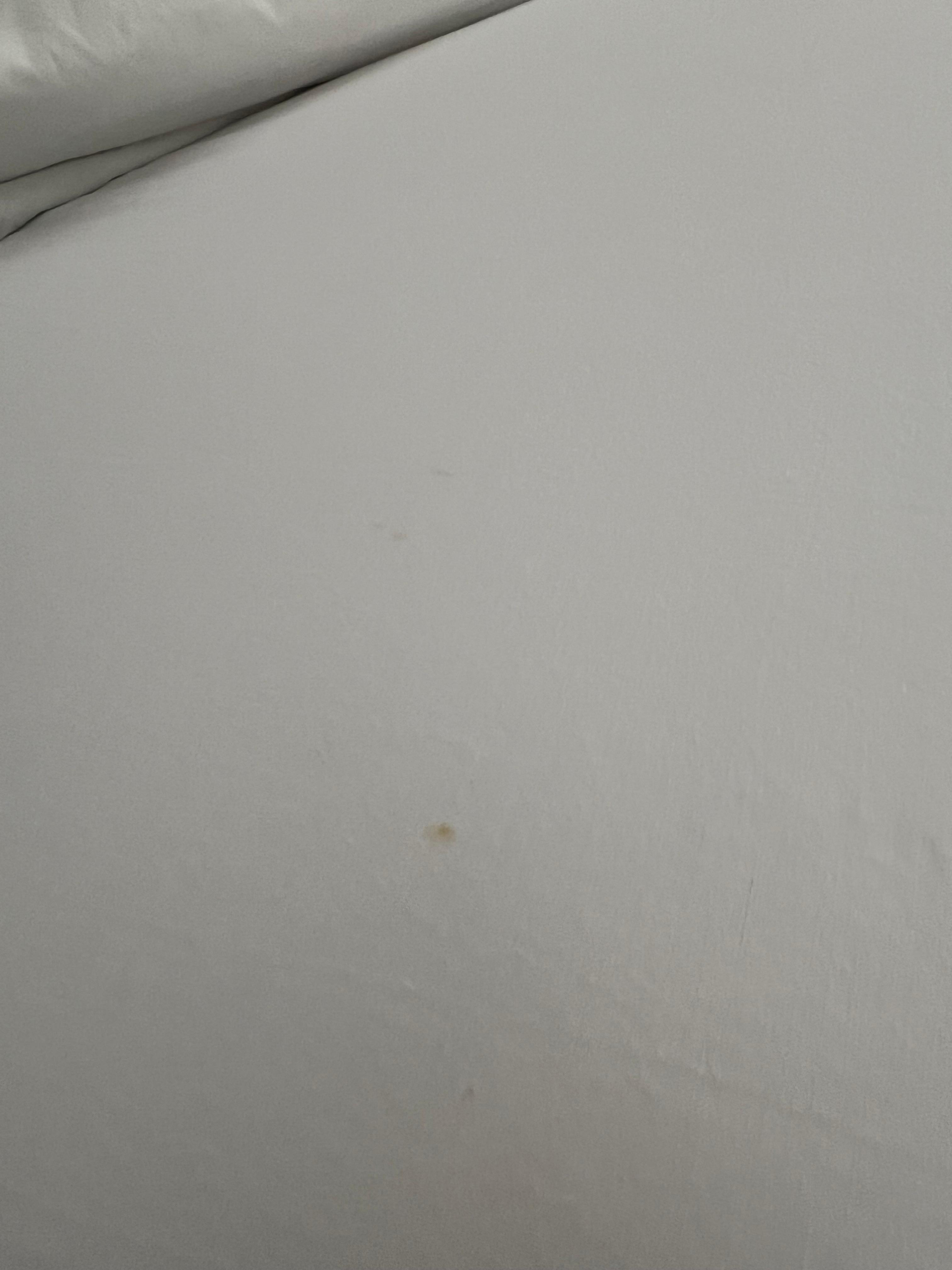 Stains on bed