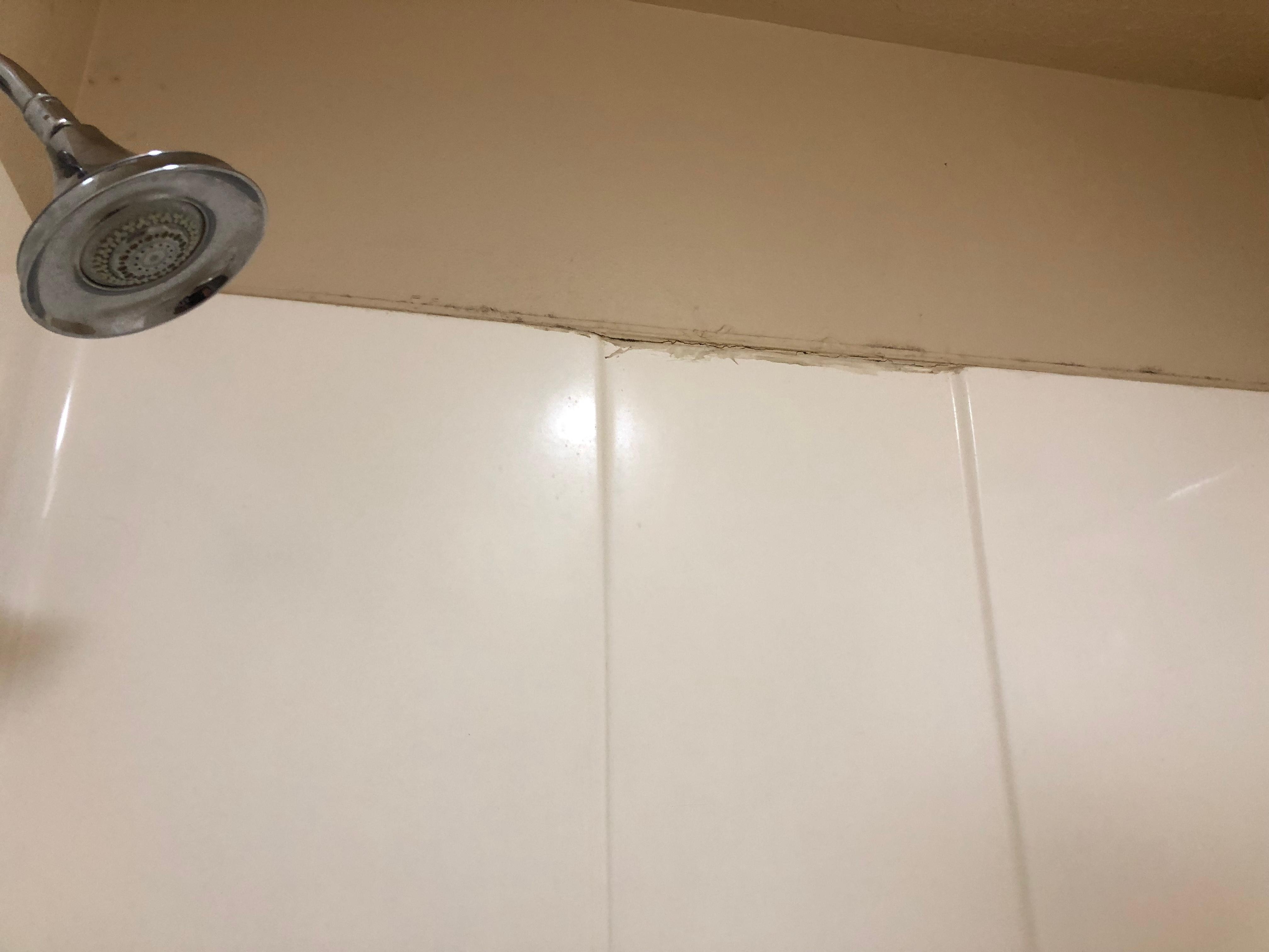 Mold where the shower caulk has failed