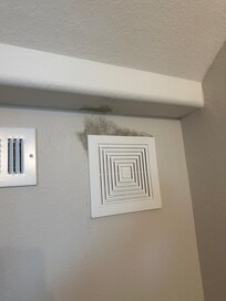 Mold growth clearly visible above the vent in the half-bathroom on the main level, indicating poor ventilation and lack of proper cleaning.