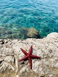 Nearby beach, the water is so clean as you see