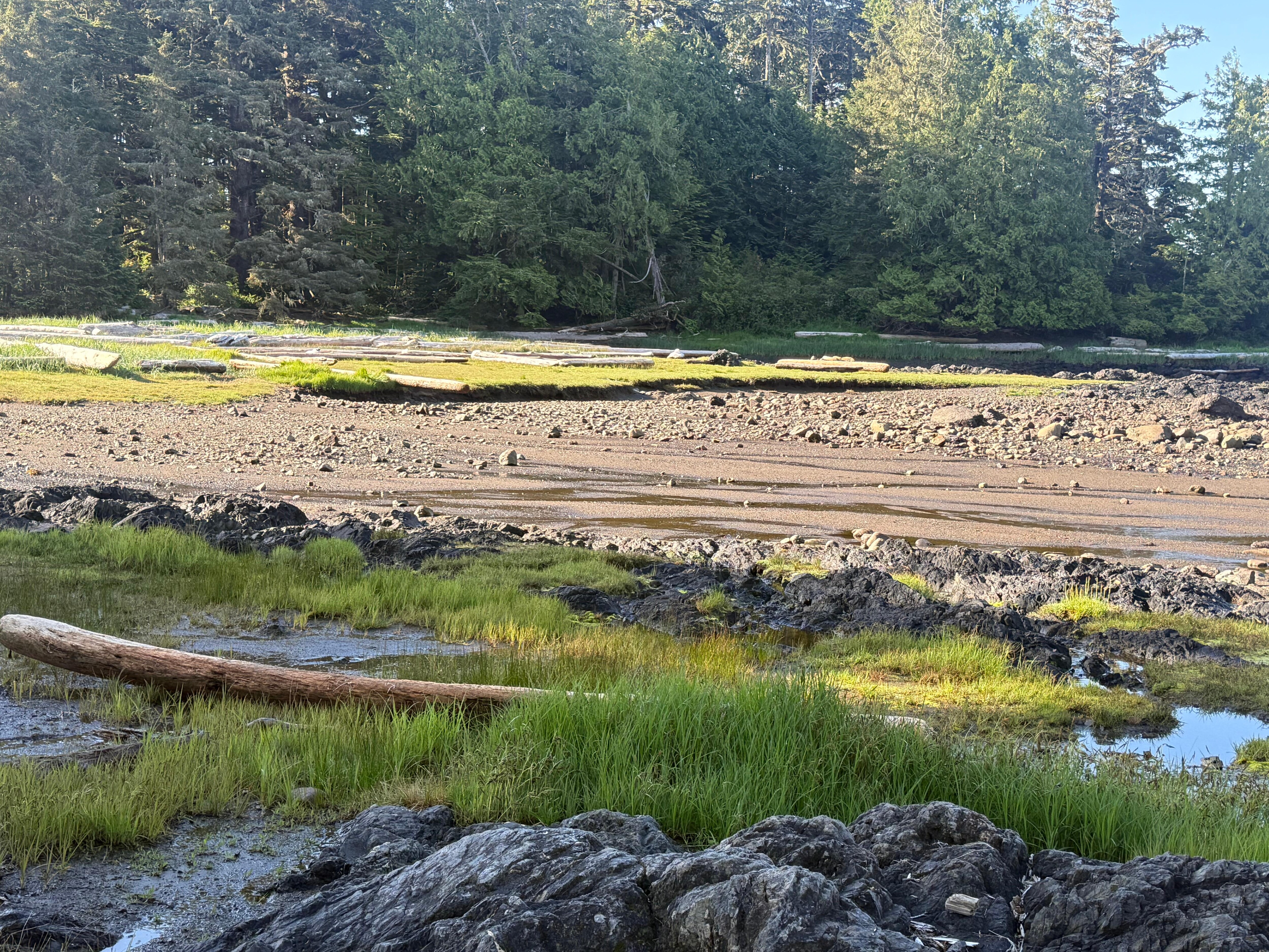 Low tide