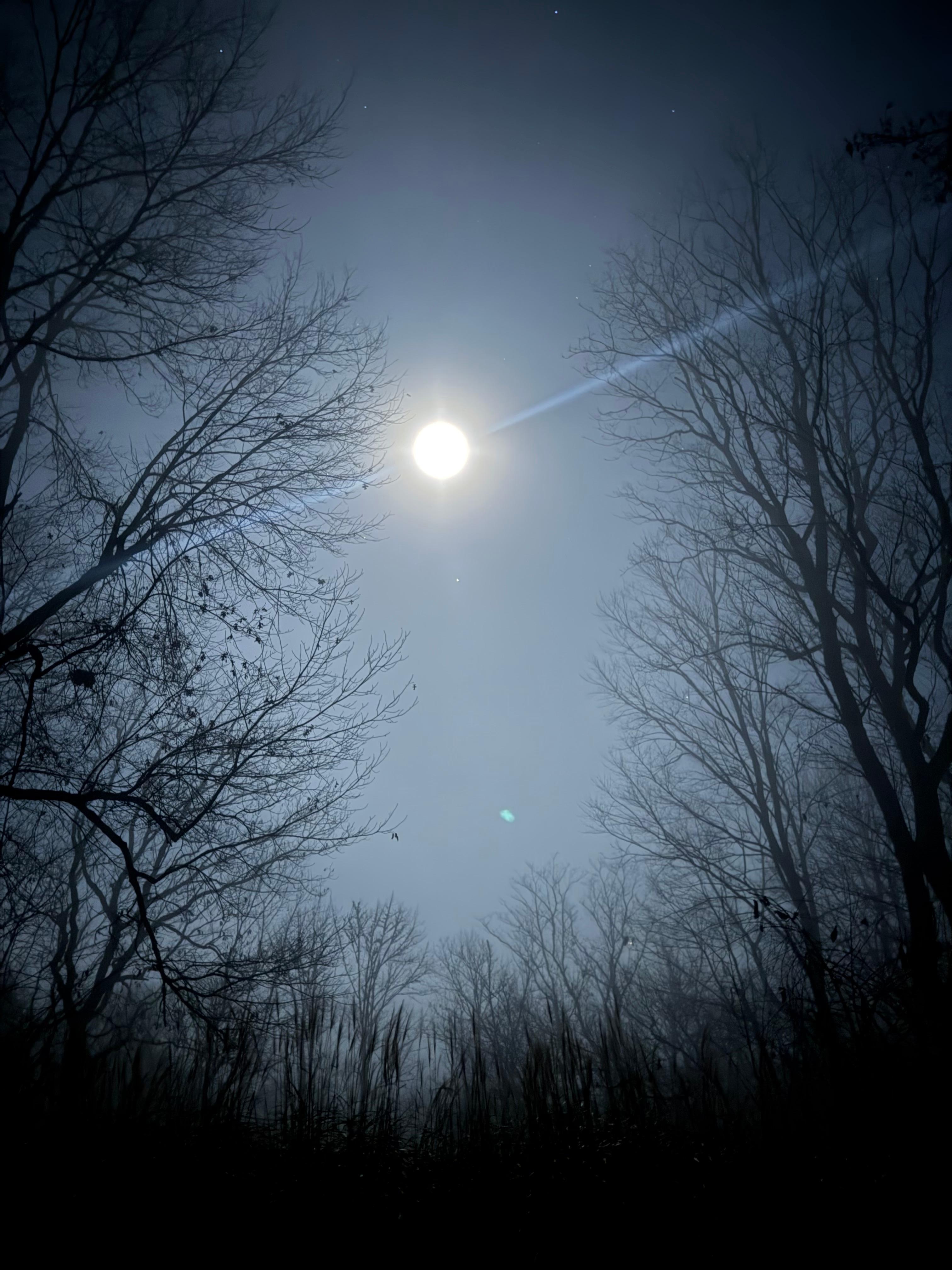 Great for stargazing.