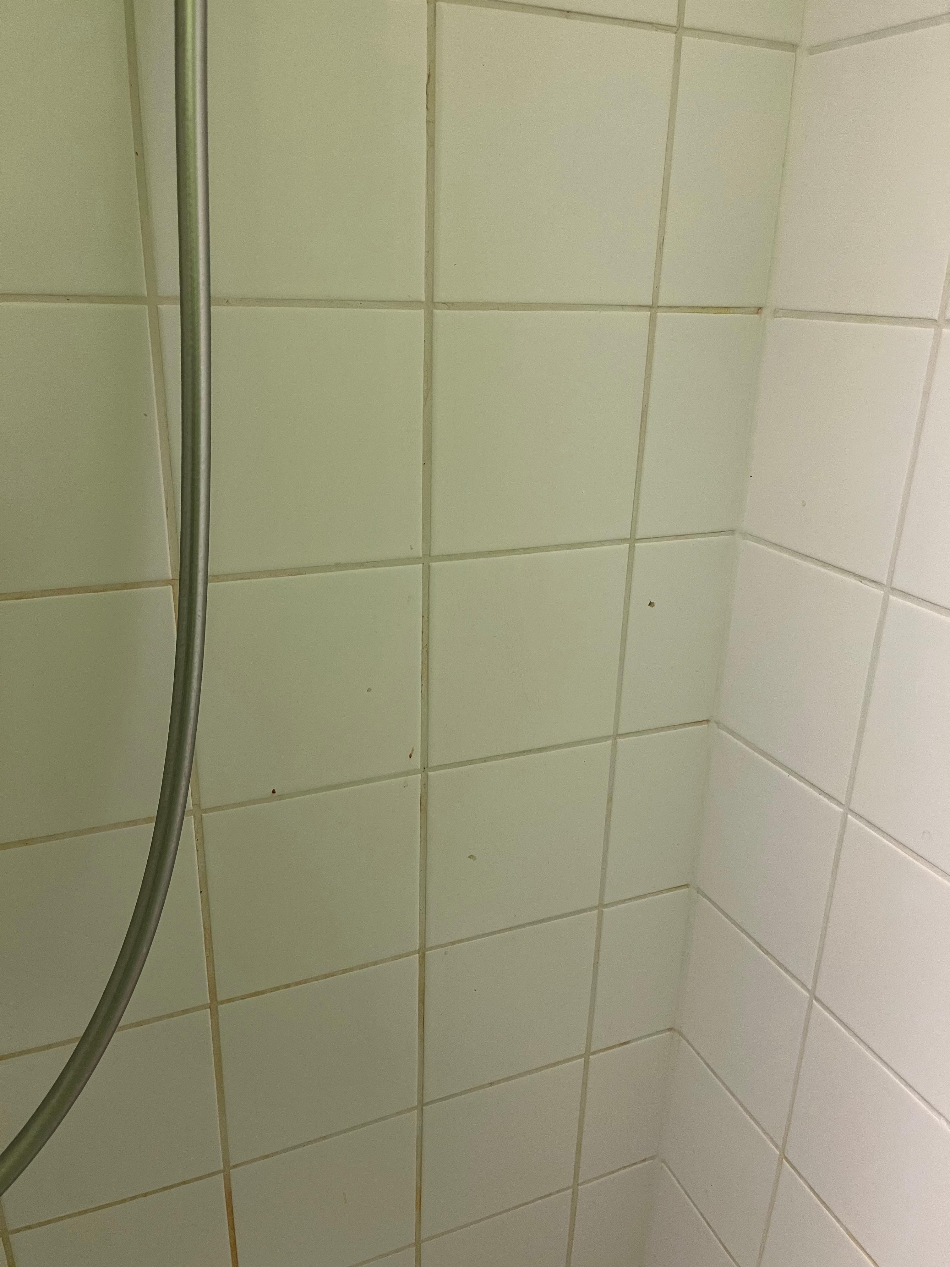 Dirty bath walls 