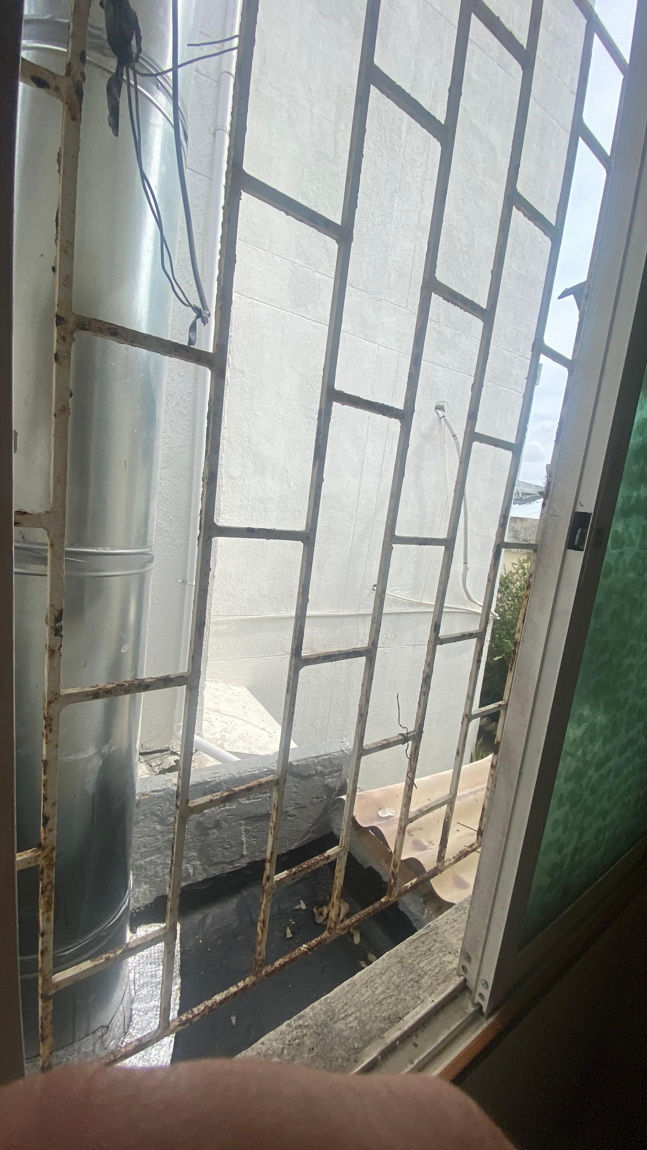 "Oceanfront" view outside our window