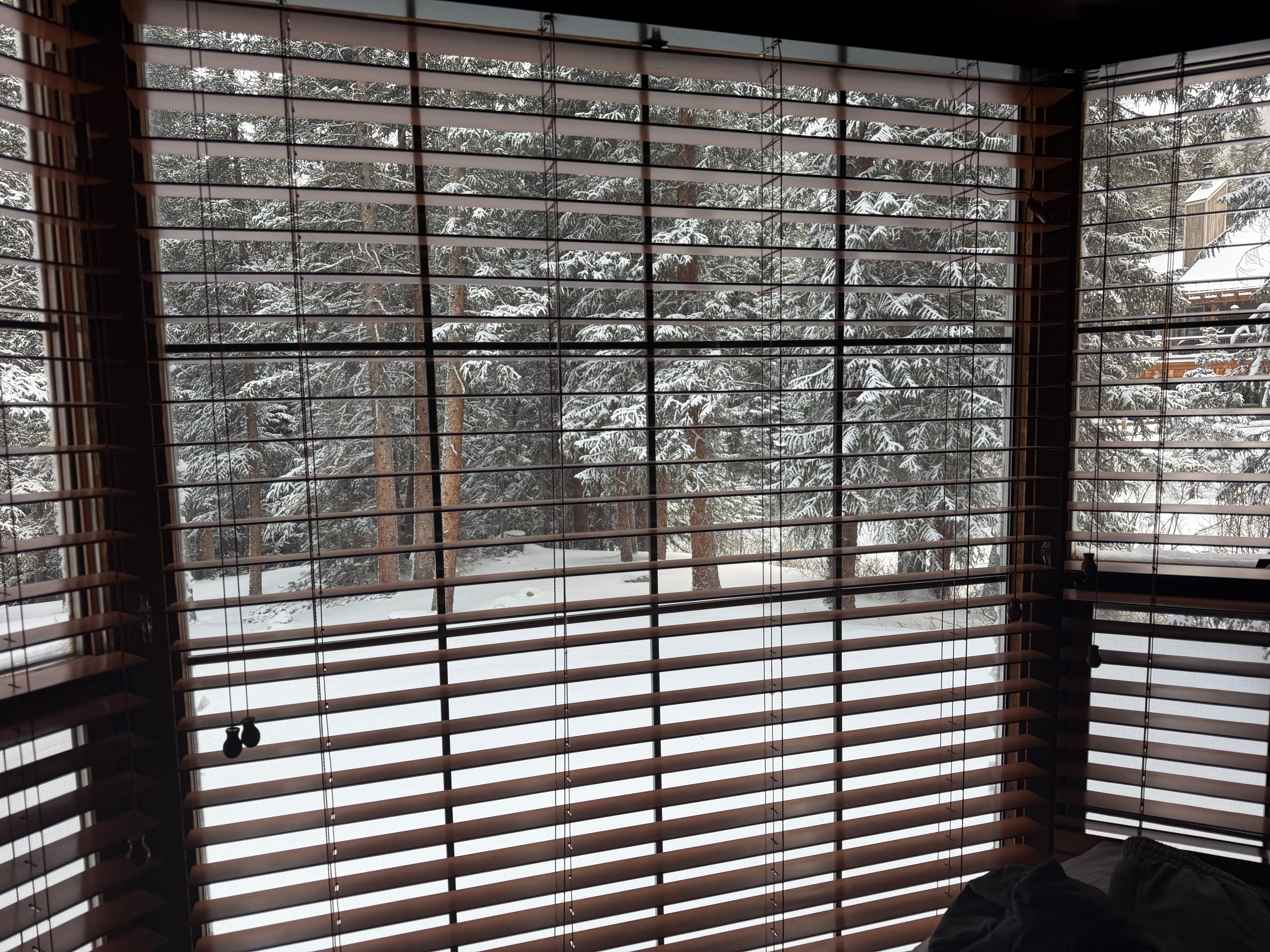 First morning there and awoke to snow ! View from the master 