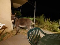 Ses l'homme d'entretien