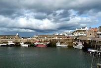 The harbour