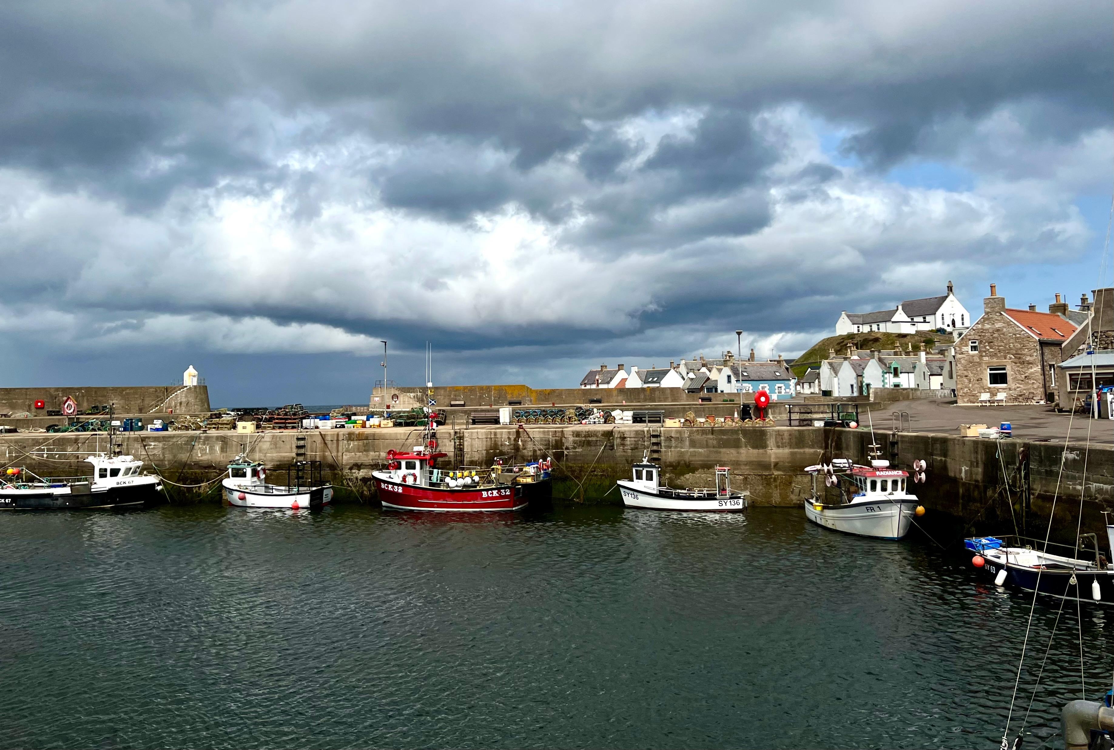 The harbour
