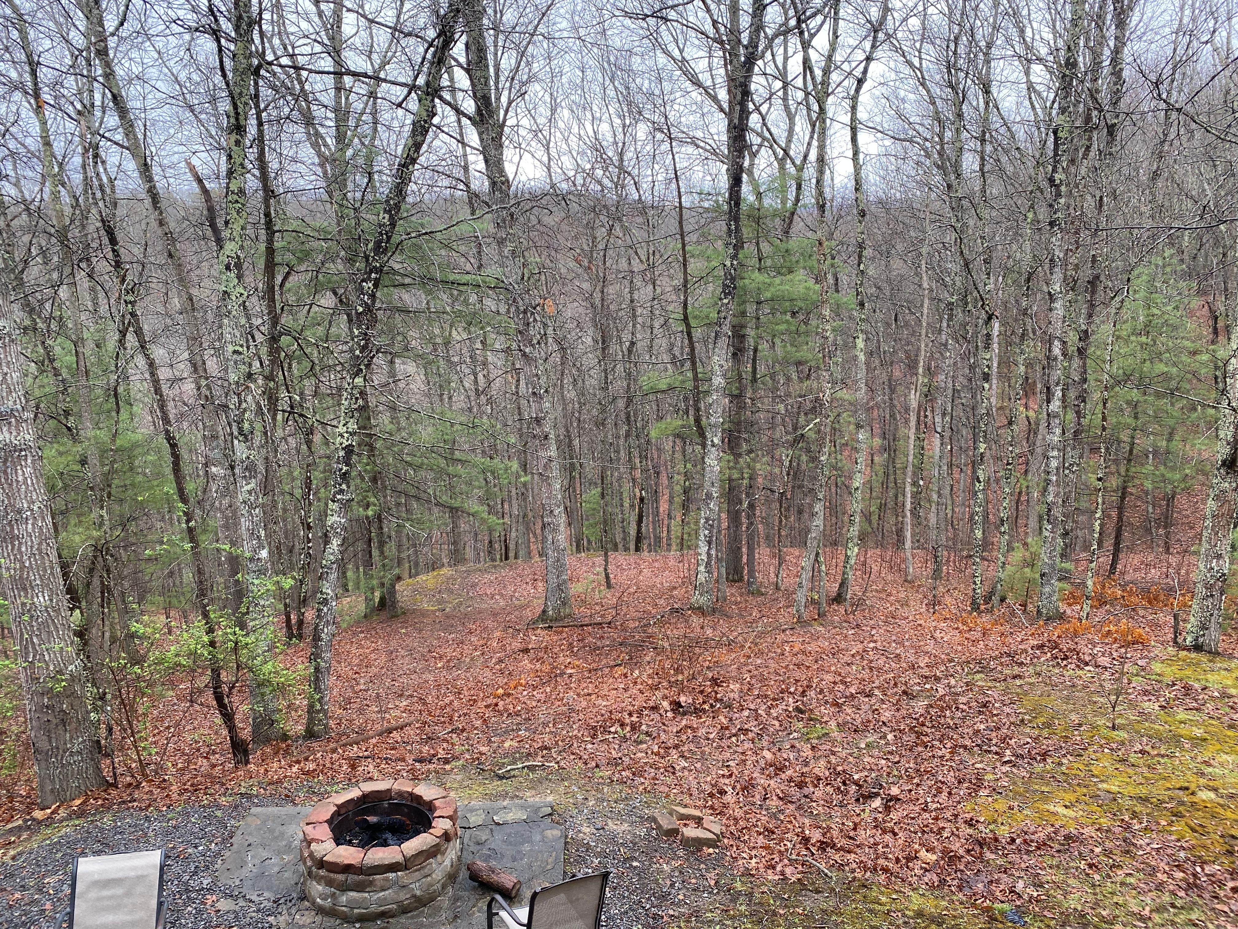 Views from the second floor to the back yard