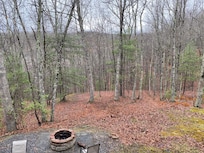 Views from the second floor to the back yard