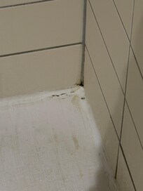 Black mold in shower