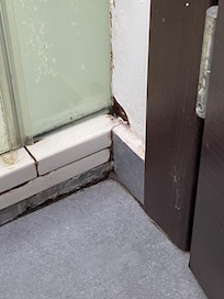 Cracked tile that have black mold, growing in it at the bottom of the shower