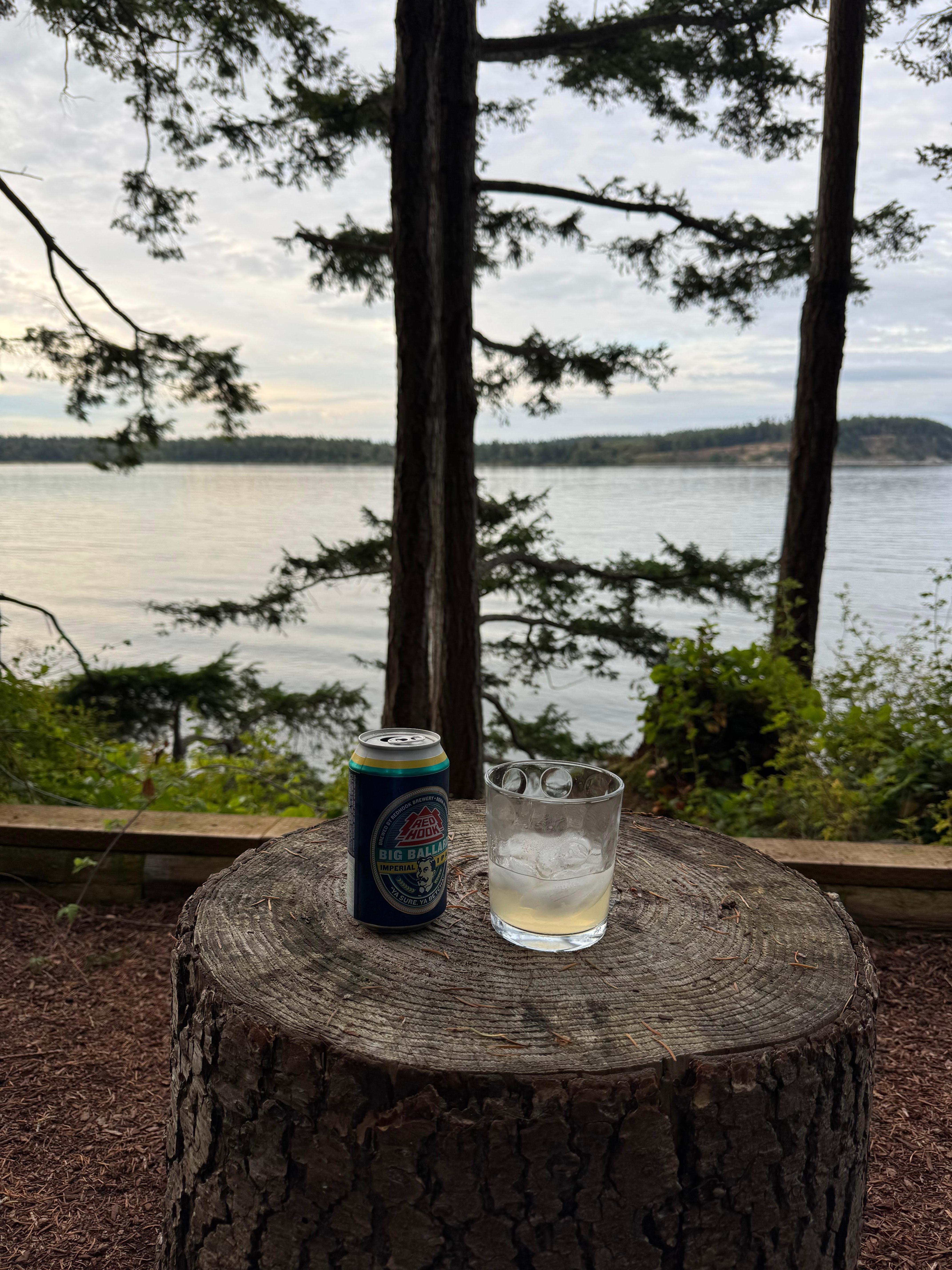 We enjoyed sitting near the water and seeing otters swim by!