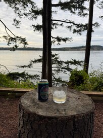 We enjoyed sitting near the water and seeing otters swim by!