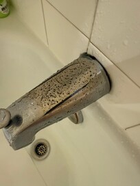 tub/shower faucet all rusted
