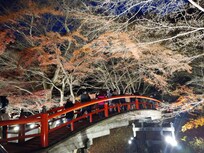 伊香保温泉の河鹿橋紅葉のライトアップ