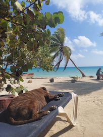 View from the downstairs courtyard of the beach
