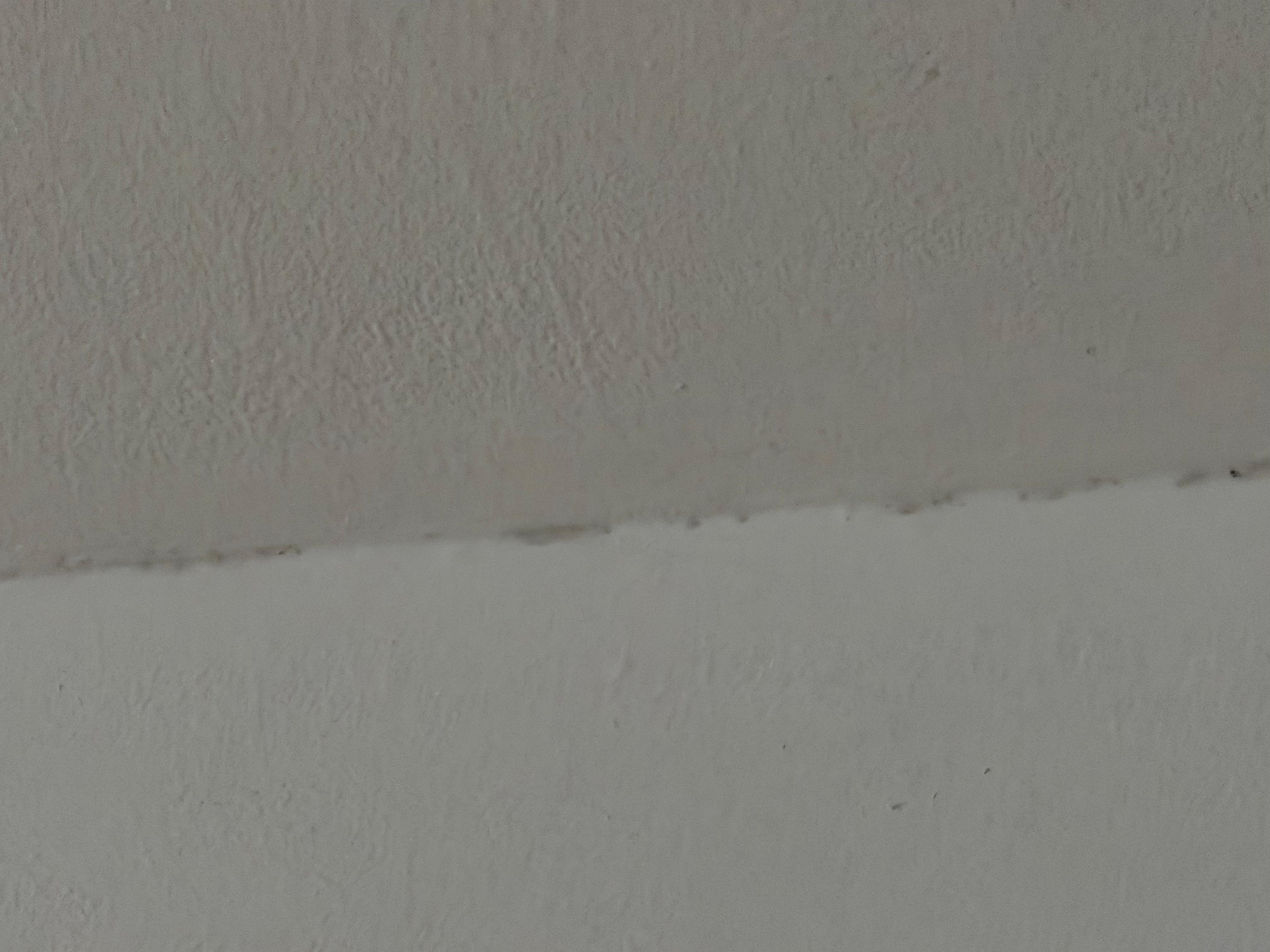 Mold on the wall