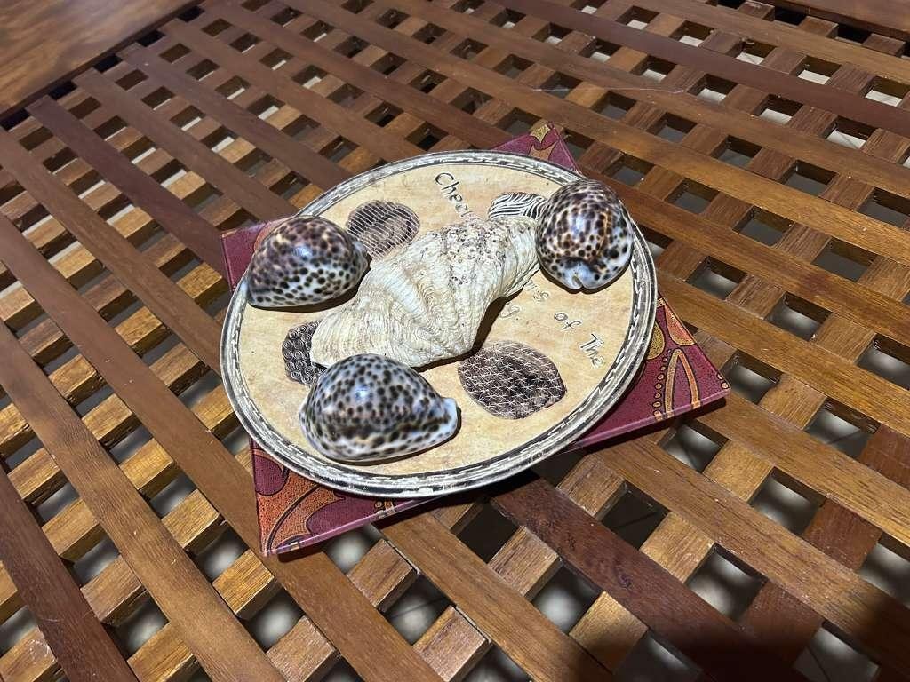 A beautiful living room with lovely art