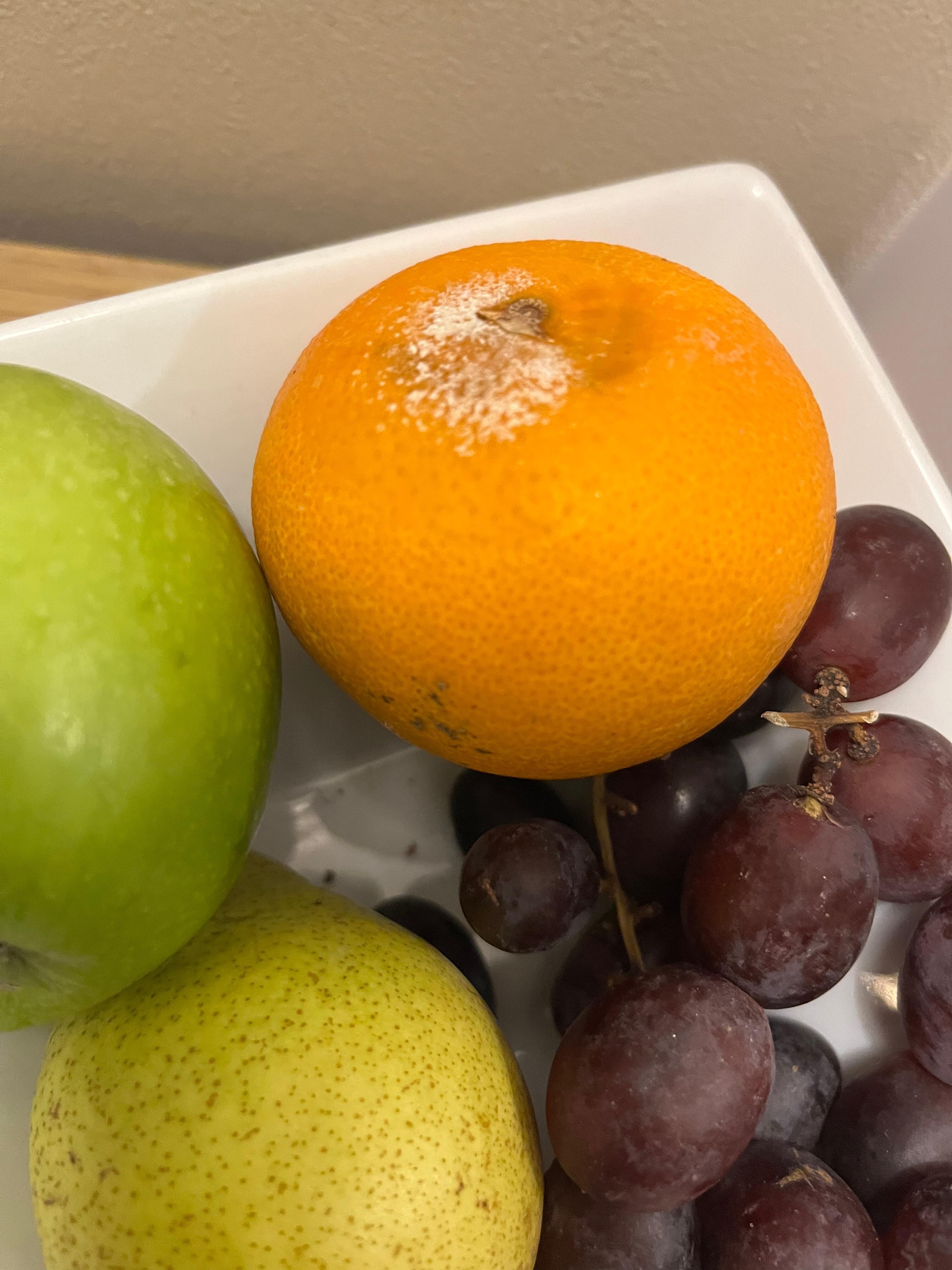 Mercure Gloucester Bowden Hall Hotel Reviews, Deals & Photos 2023