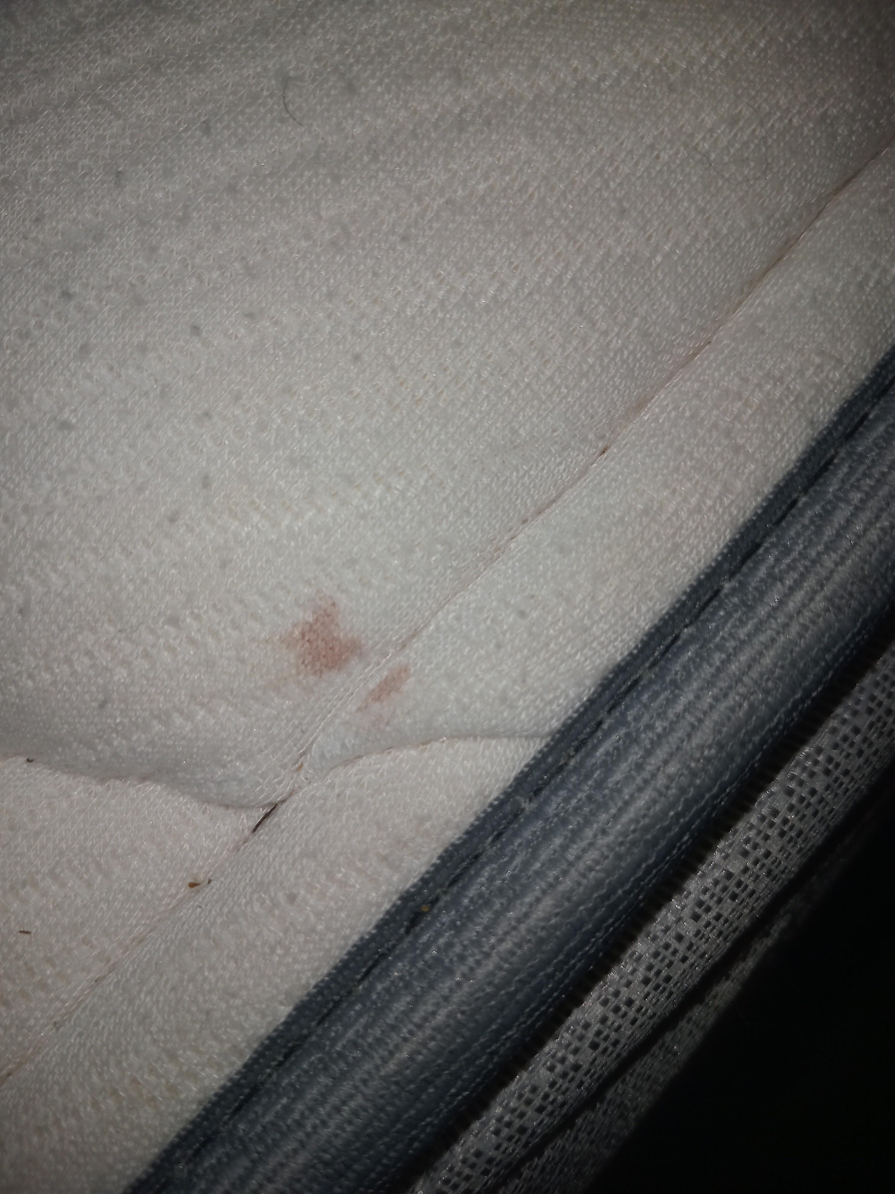 Blood on mattress