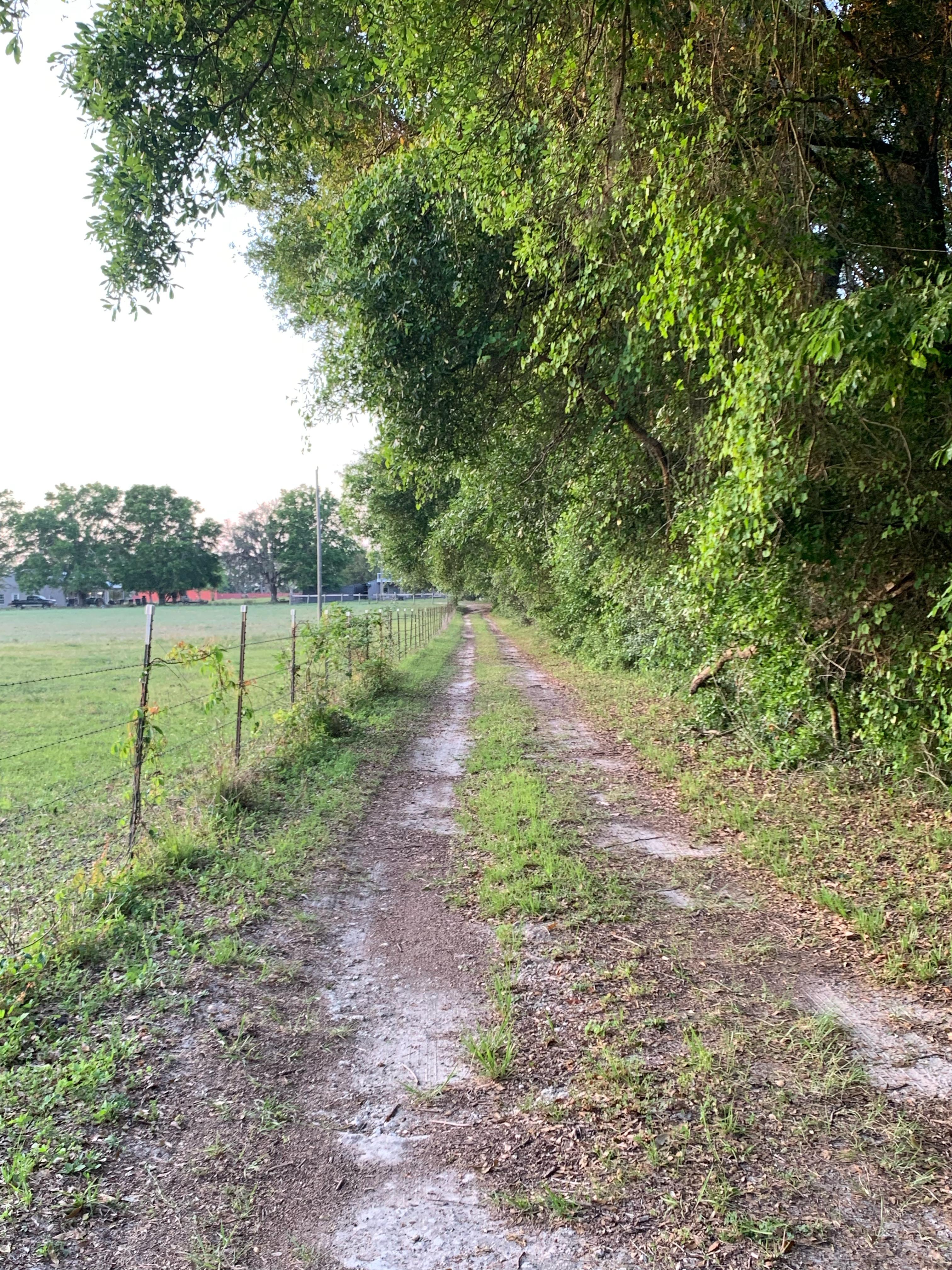 Driveway to Bunk House