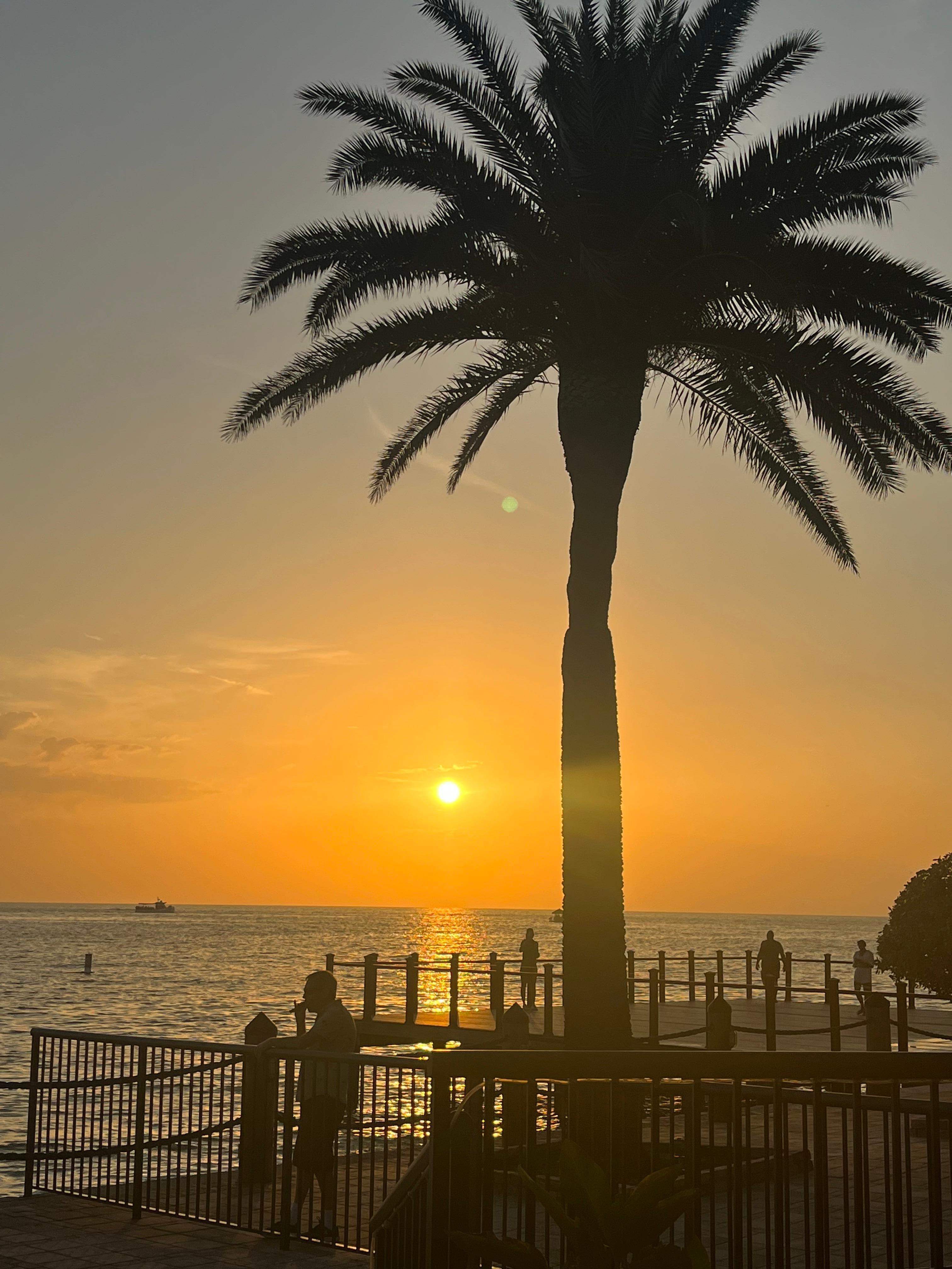 Another sunset