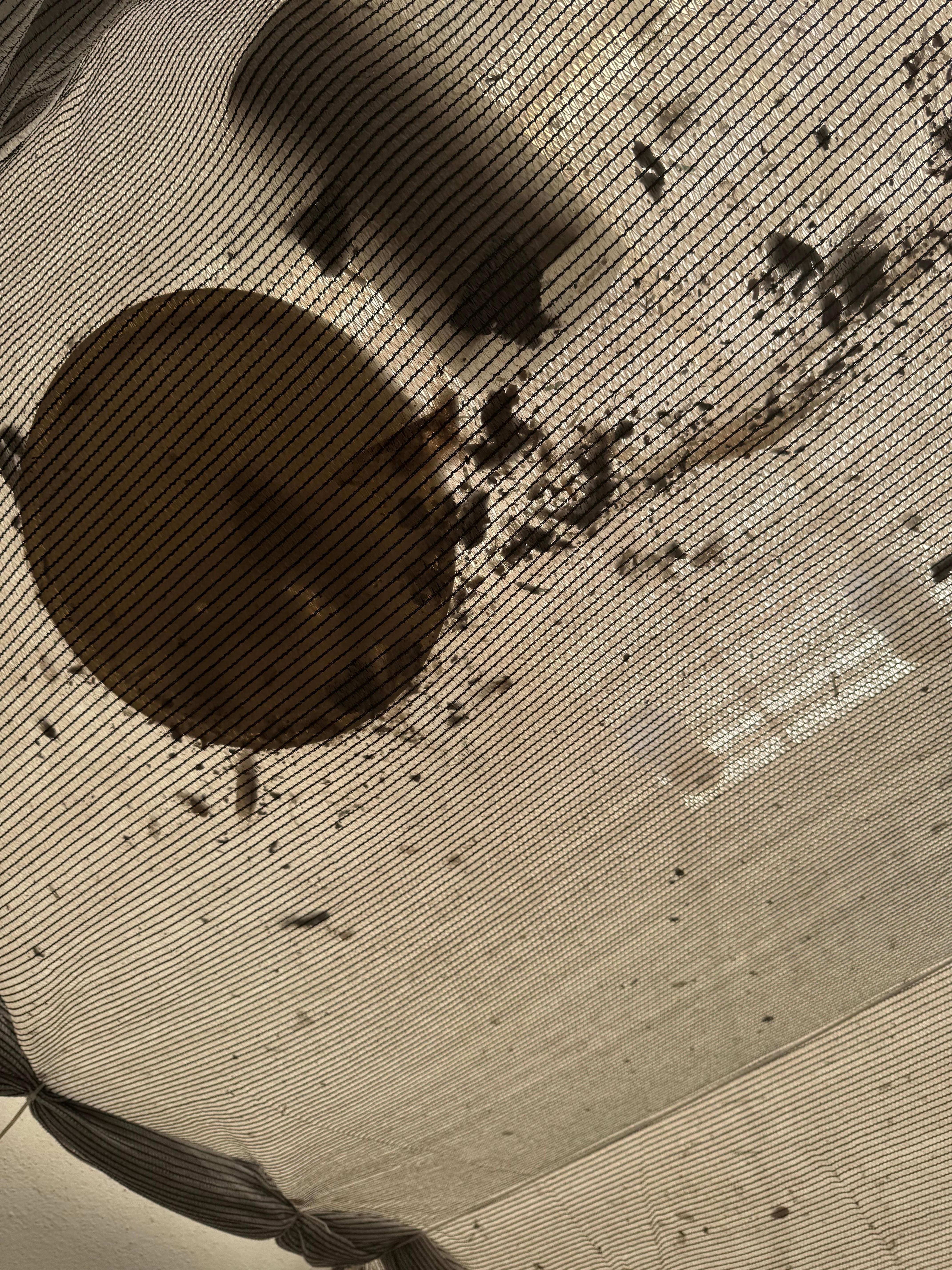 Tent with mold and garbage 