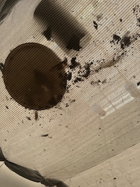 Tent with mold and garbage