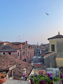 The view