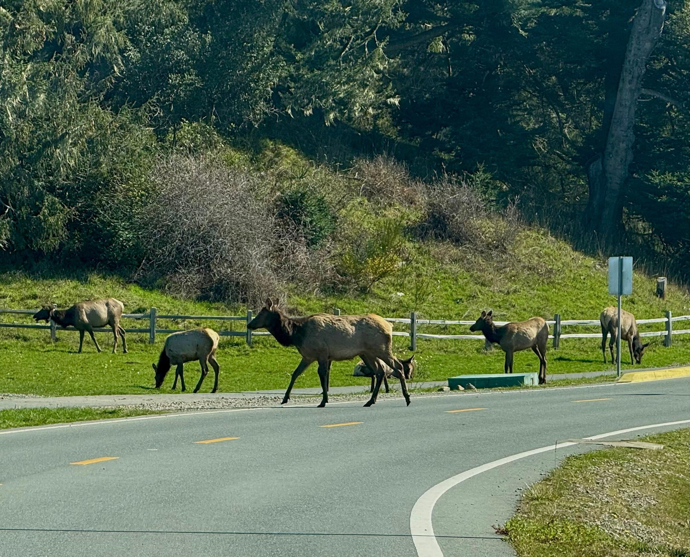 A half a mile from the casino