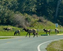 A half a mile from the casino