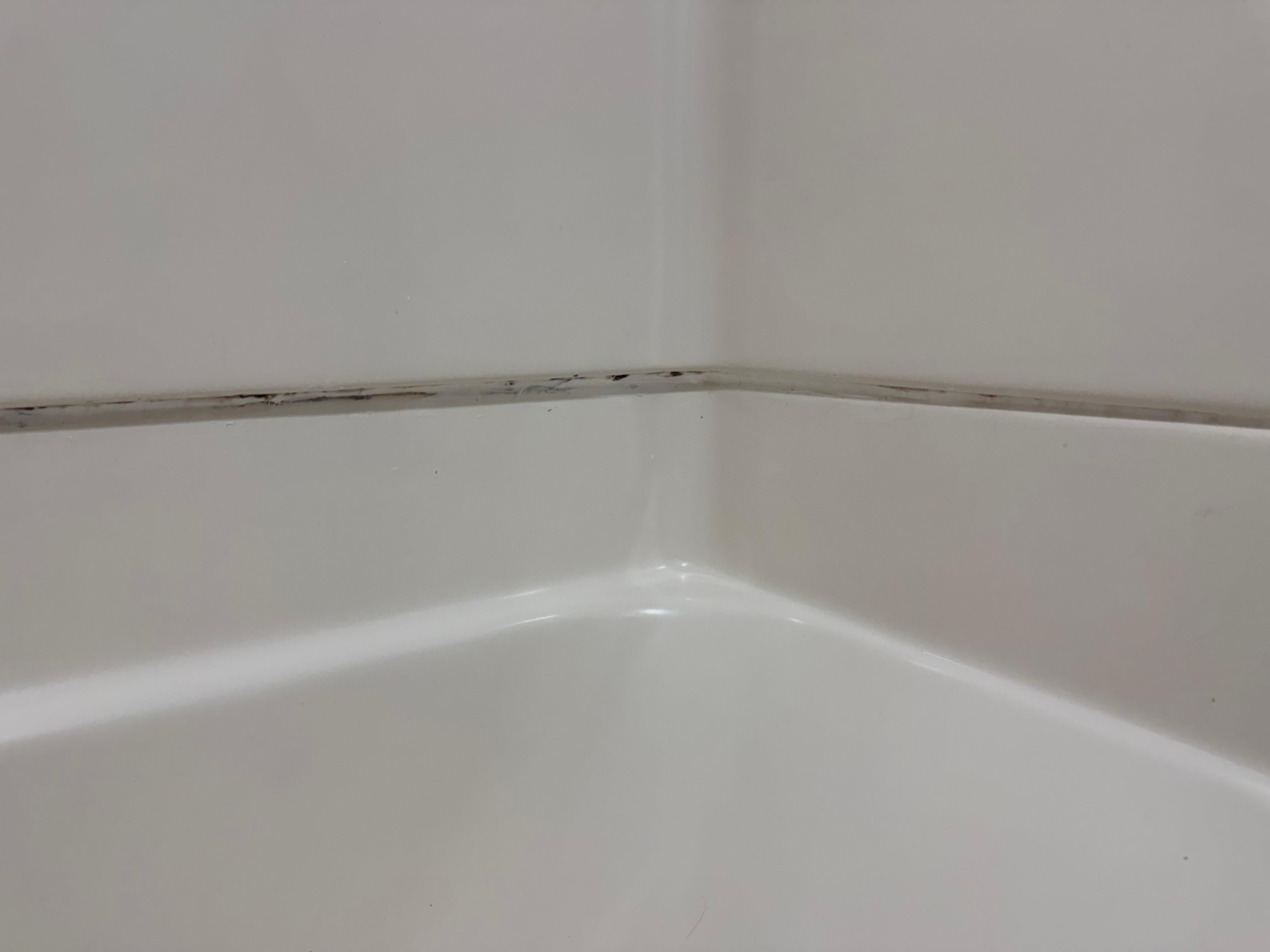Mold on tub
