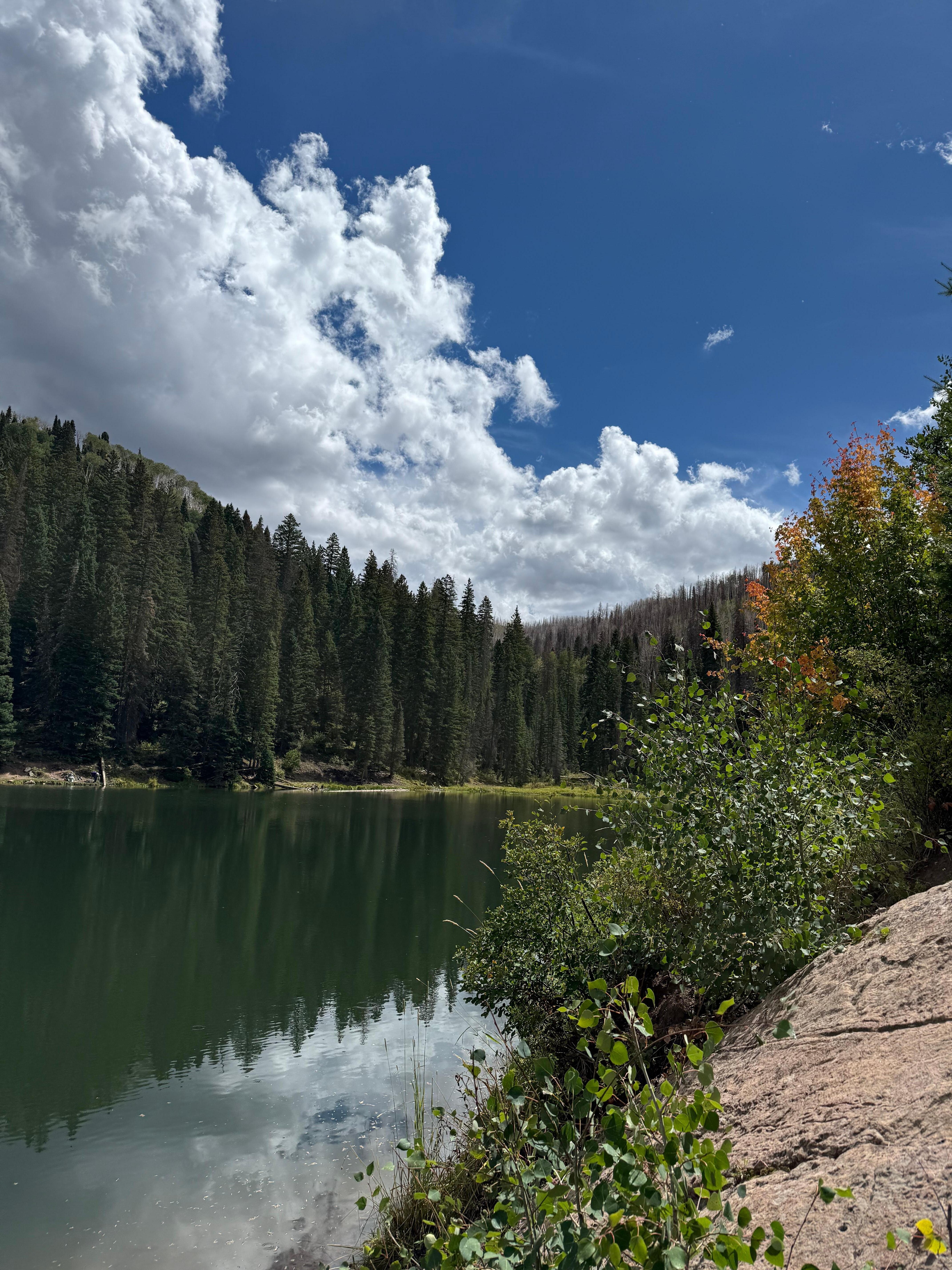Hike in the San Juan mountains 