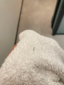 Hair on "new towel"