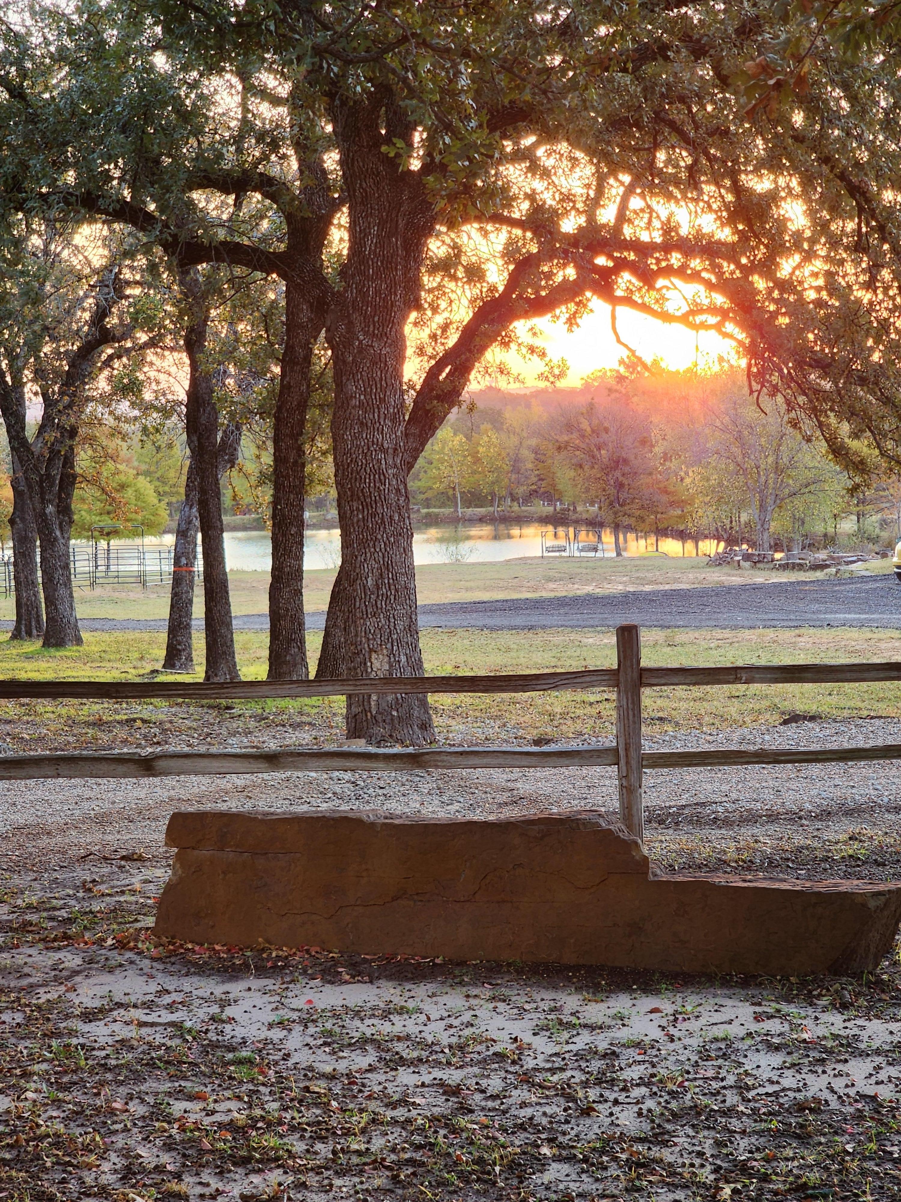 Morning view from porch